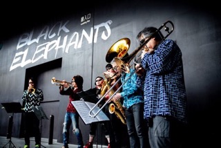 Black Elephants main image
